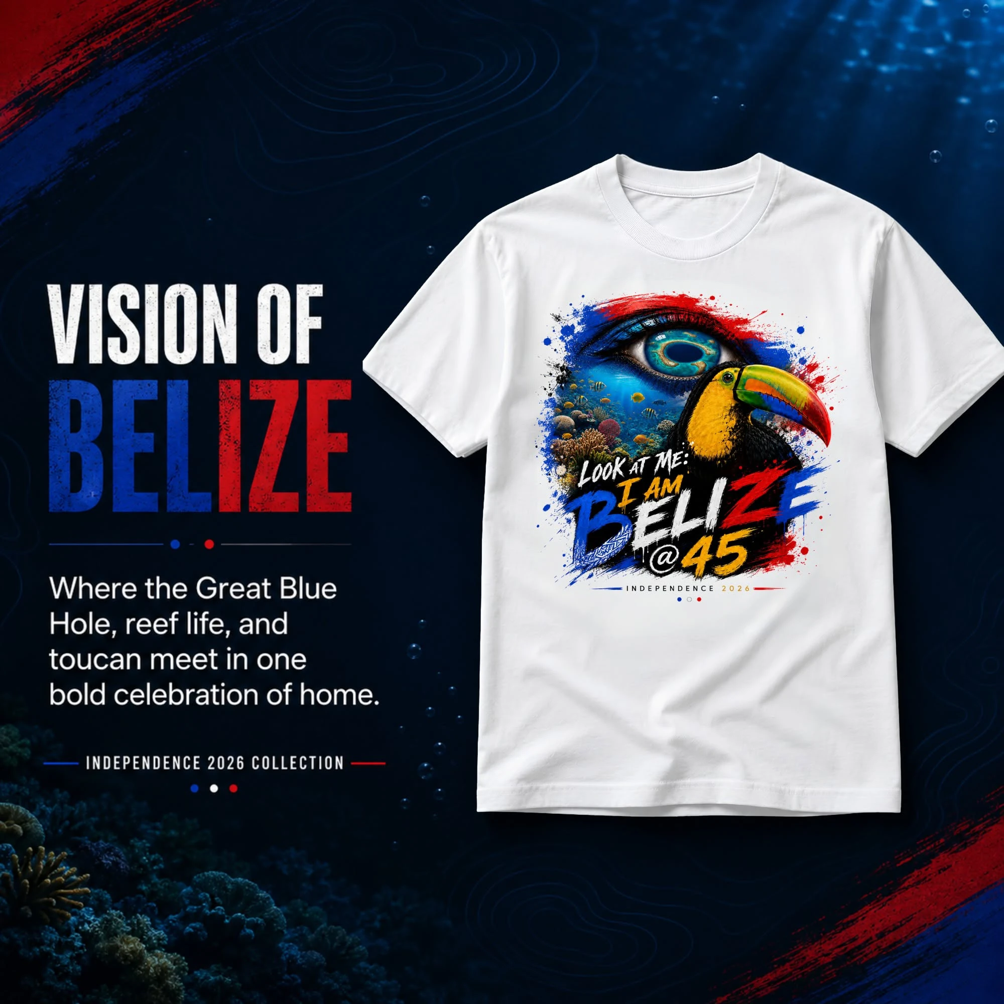 Vision of Belize design
